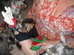 Heather 2006 - IMG_2174.jpg Heather 2006 - IMG_2174.jpg